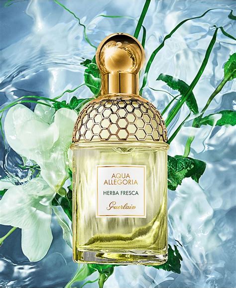 profumo yves saint laurent herba fresca|Guerlain Herba Fresca Review: A Refreshing Summer Fragrance.